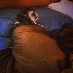 Meet your Posher, Ethan